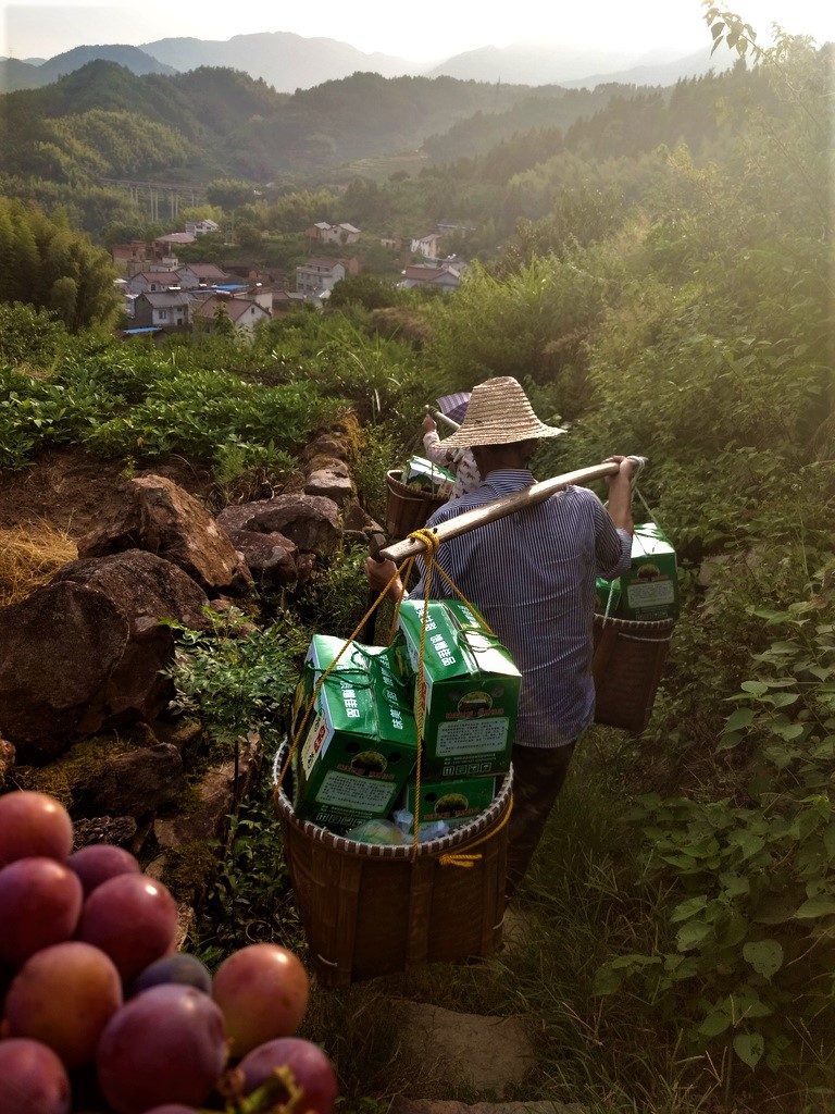 IMG_20170910_164728826_HDR (2)