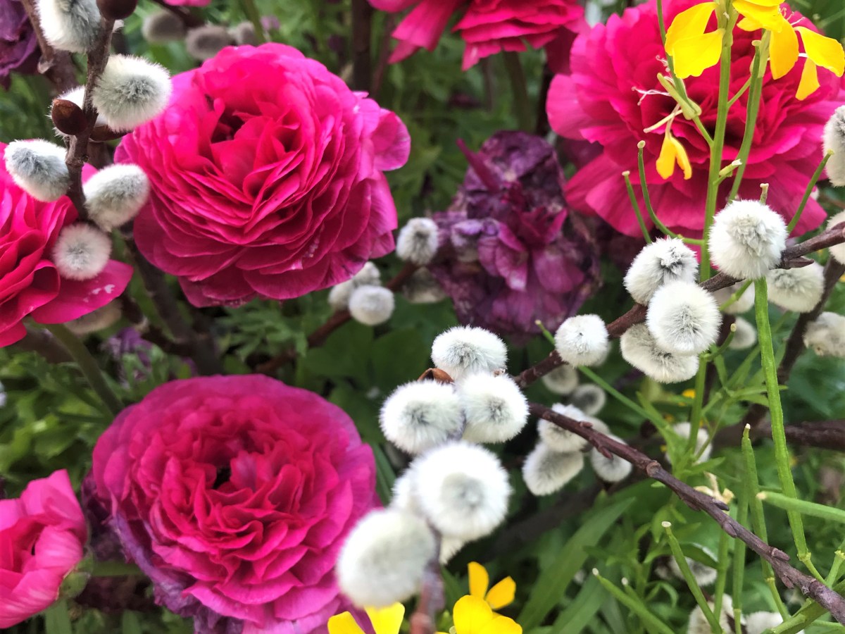 Middle Brother: Recollections in Verse