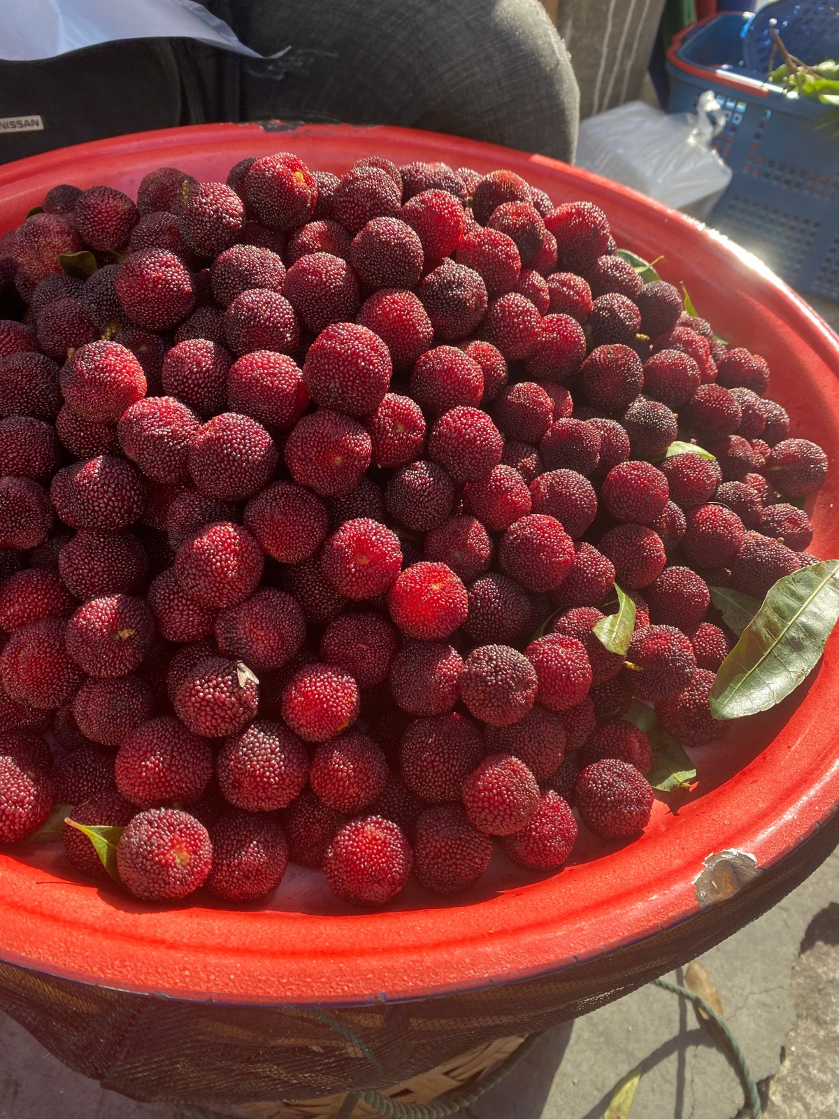 Bayberries (杨梅): An Intriguing Sweet and Sour Fruit